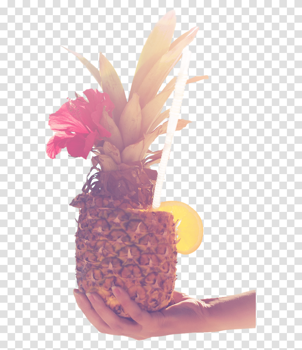 Happy Pineapple Legs S Una Ponte De Pie Ponte, Plant, Fruit, Food Transparent Png