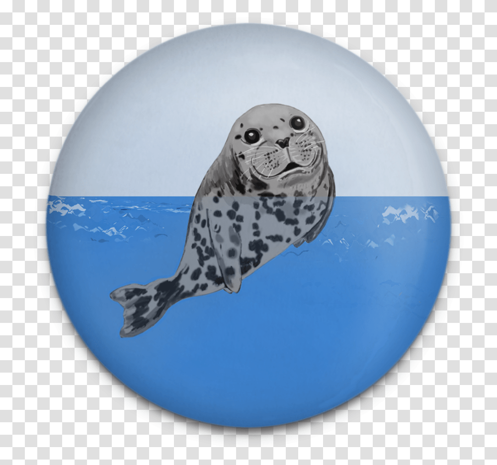 Happy Seals Magnet Set Harbor Seal, Mammal, Sea Life, Animal, Sphere Transparent Png