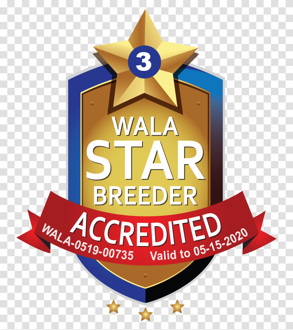 Happy Tails Wala Star Logo 0519 Labradoodle, Label, Poster, Advertisement Transparent Png