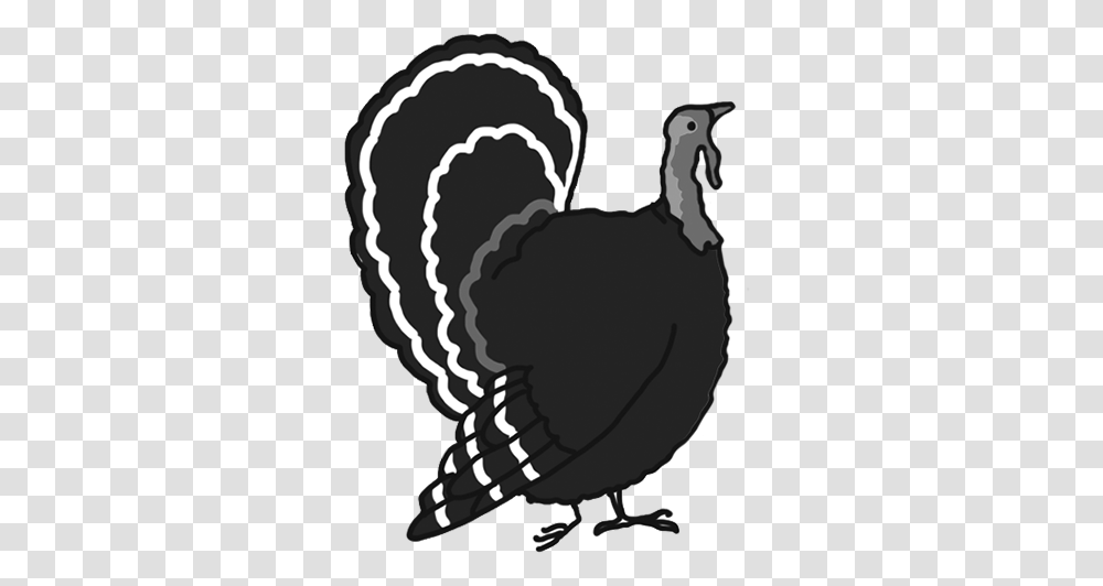 Happy Thanksgiving Clipart, Bird, Animal, Turkey Bird, Poultry Transparent Png