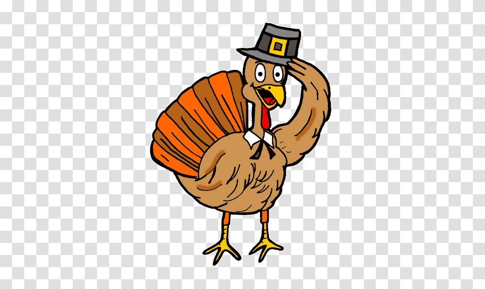 Happy Thanksgiving Clipart, Bird, Animal, Turkey Bird, Poultry Transparent Png