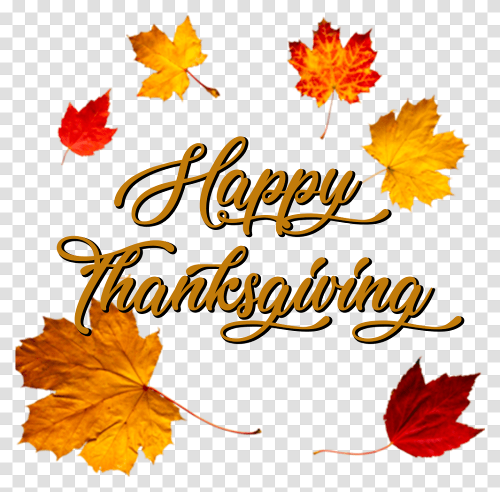 Happy Thanksgiving Crown Of Autumn Leaves, Leaf, Plant, Maple Leaf, Tree Transparent Png