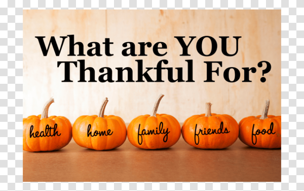 Happy Thanksgiving Engineers, Pumpkin, Vegetable, Plant, Food Transparent Png