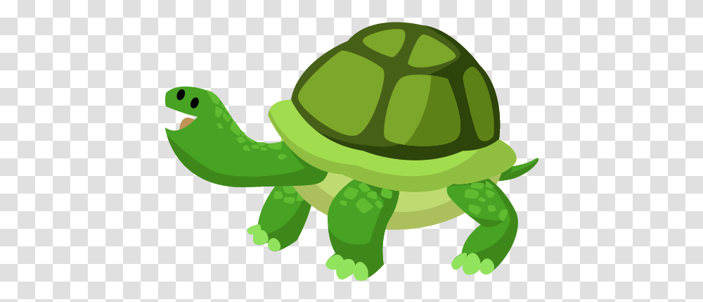 Happy Very Late Birthday, Green, Animal, Reptile, Amphibian Transparent Png
