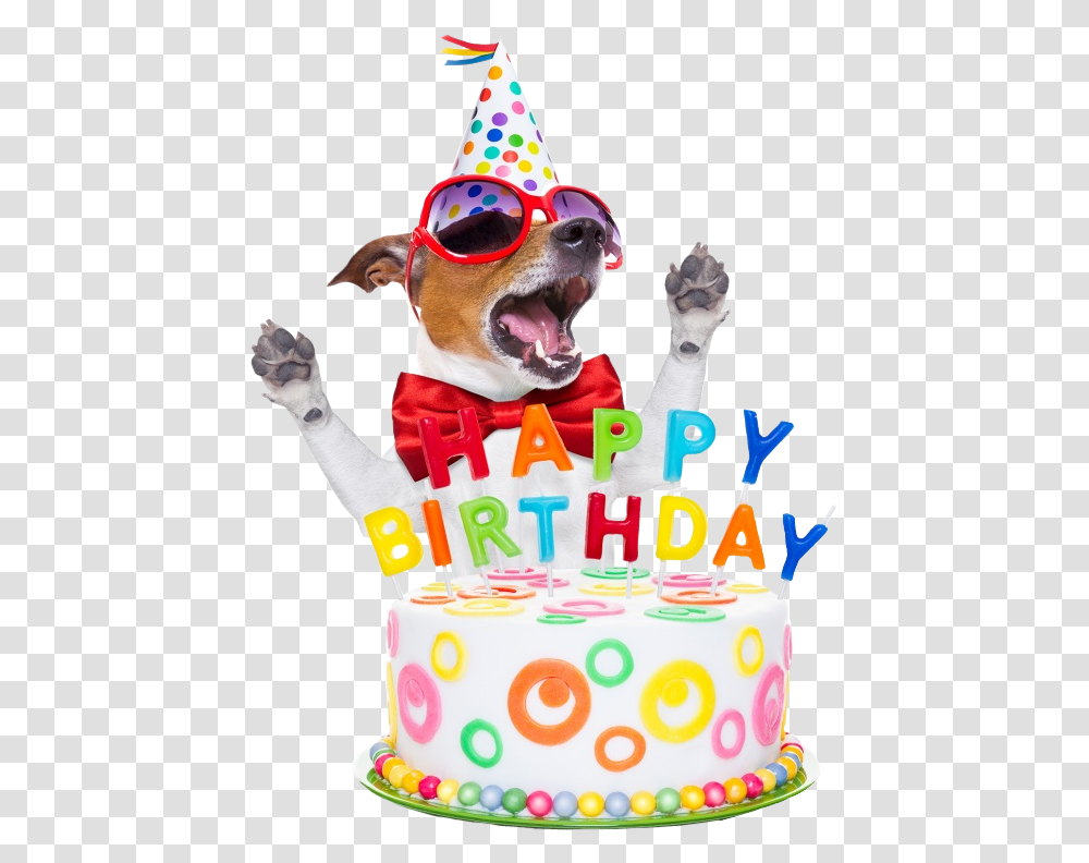Happybirthday Birthday Birthdaycandles Wish Dog Happy Birthday Summer Dog, Sunglasses, Accessories, Accessory, Birthday Cake Transparent Png
