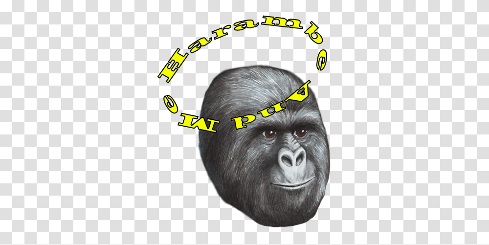 Harambe And Me Monkey, Ape, Wildlife, Mammal, Animal Transparent Png