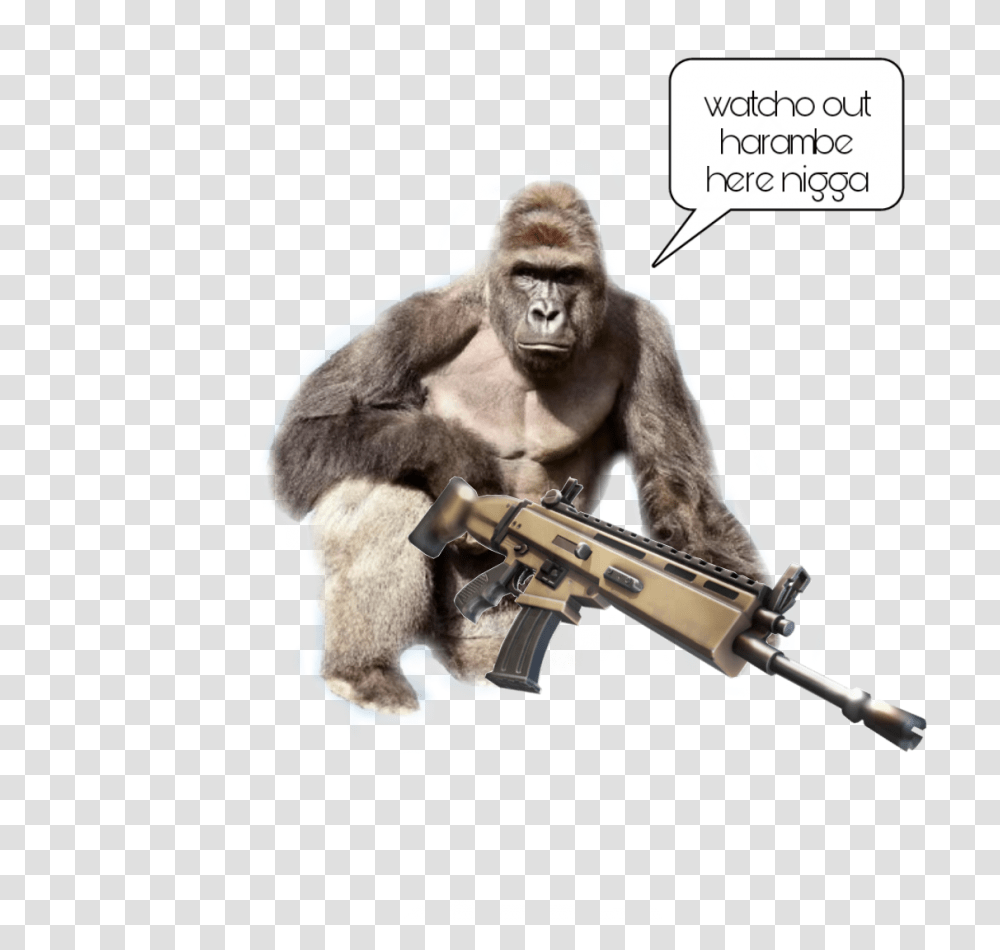 Harambe, Ape, Wildlife, Mammal, Animal Transparent Png