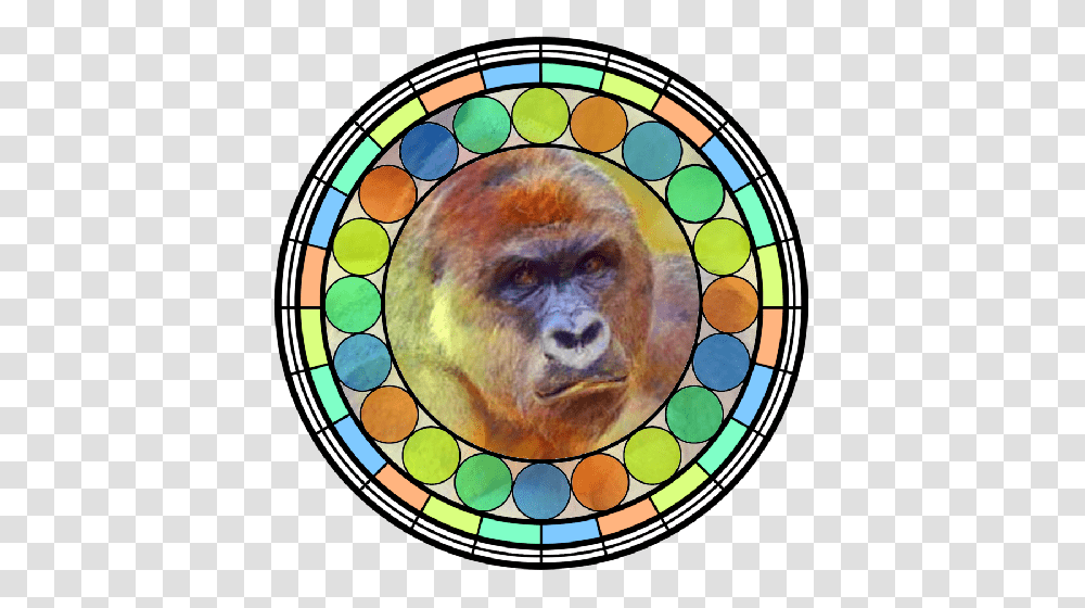 Harambe Bibleofmeme Wikia Fandom Powered, Stained Glass, Animal, Wildlife Transparent Png