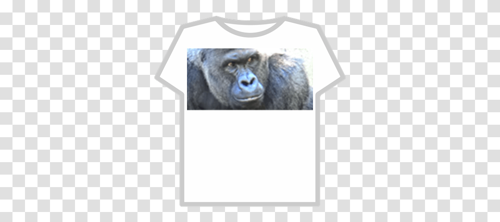 Harambe Goku Ssj4 T Shirt Roblox, Ape, Wildlife, Mammal, Animal Transparent Png