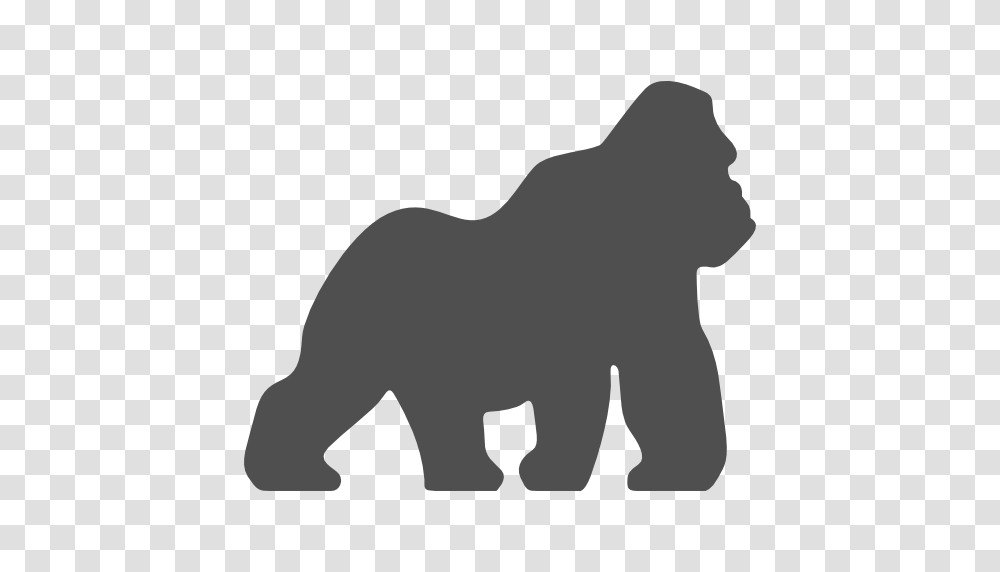 Harambe Is Gone And The Humans Are Out For More Gorillas, Silhouette, Person, Kneeling, Wildlife Transparent Png