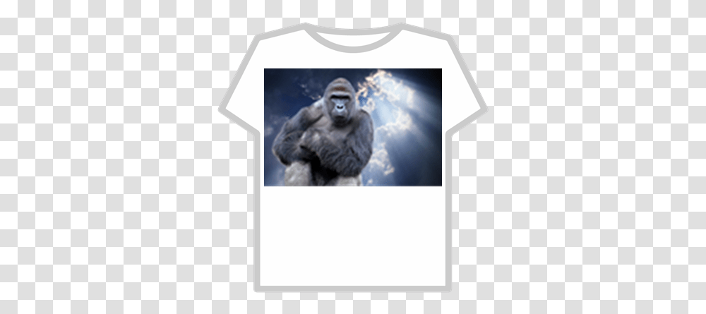 Harambe Roblox Adidas T Shirt, Ape, Wildlife, Mammal, Animal Transparent Png