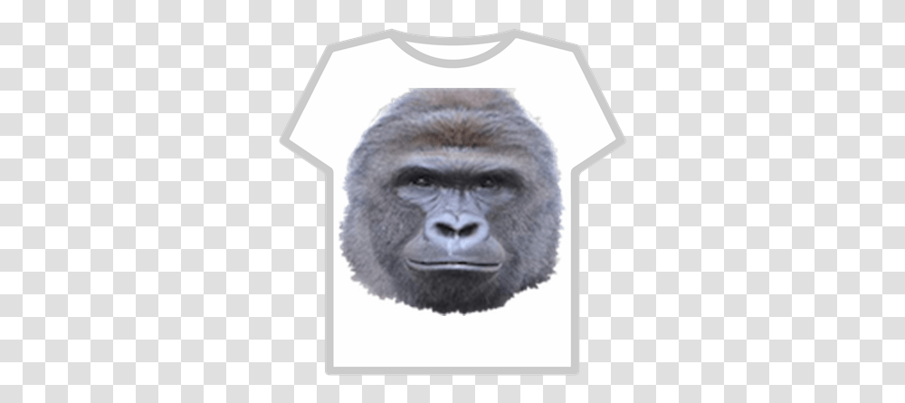 Harambe T Shirt Roblox Roblox Muscle T Shirt Free, Ape, Wildlife, Mammal, Animal Transparent Png