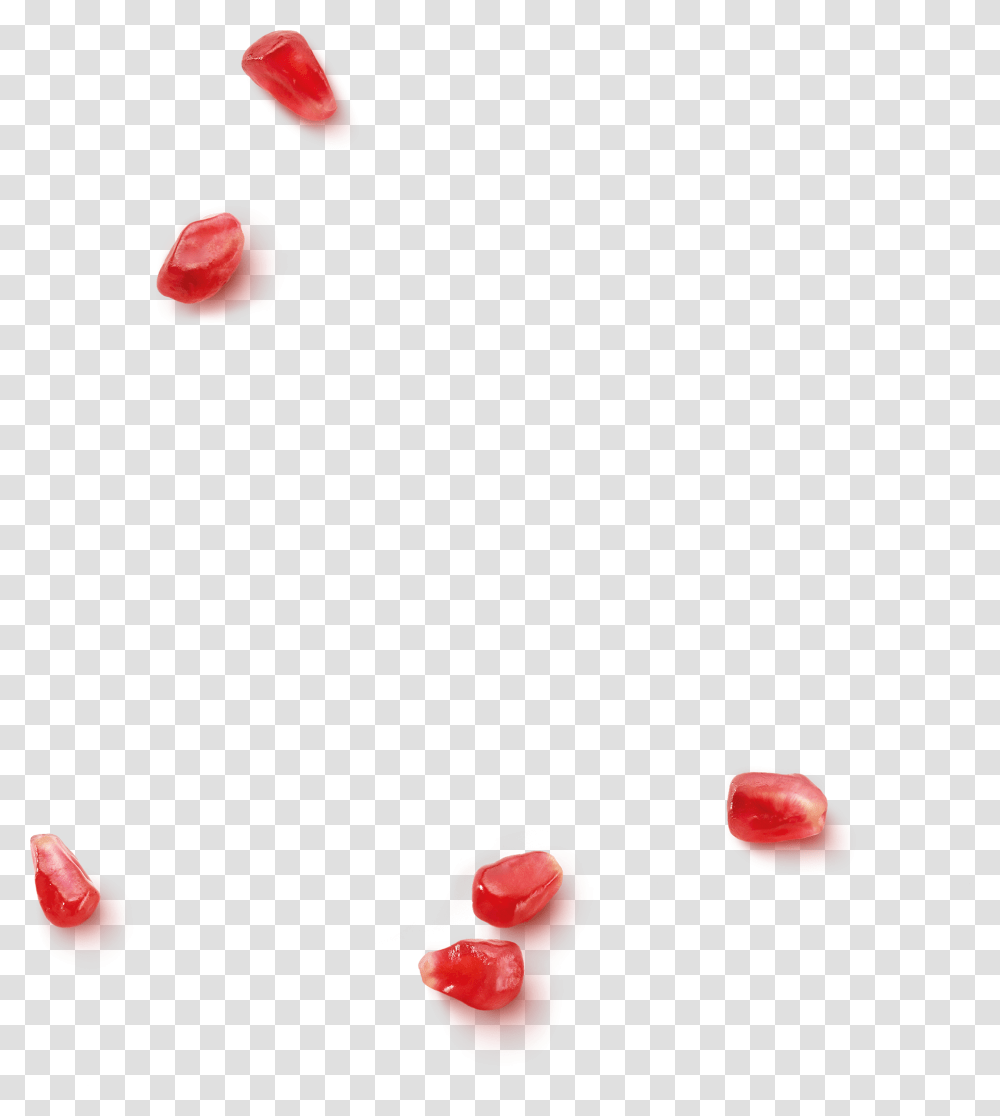 Hard Candy, Plant, Animal, Food Transparent Png