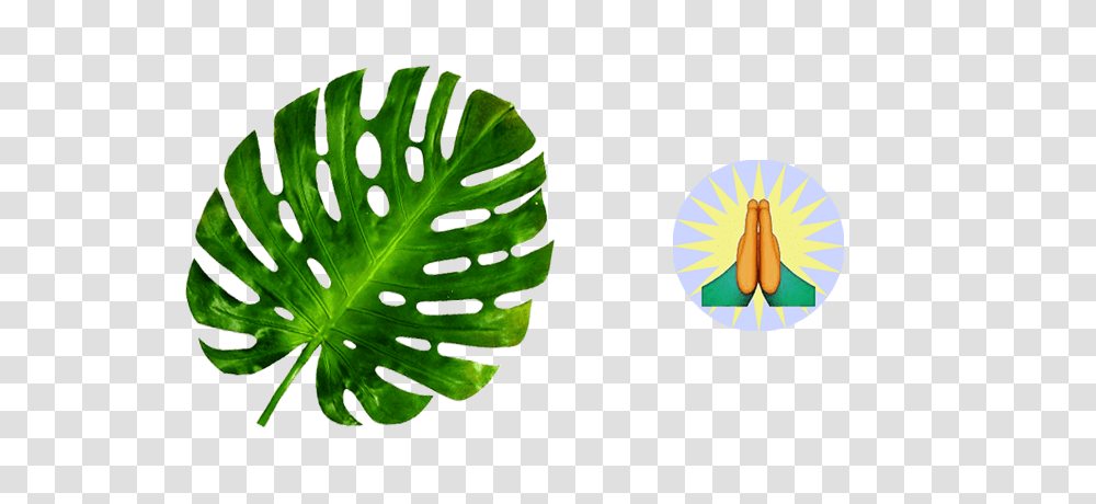 Hardly Un American, Leaf, Plant, Green, Sliced Transparent Png