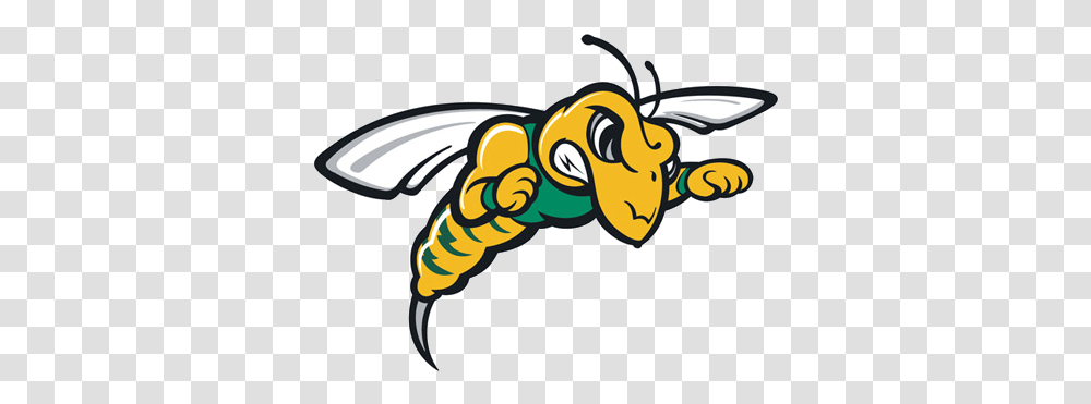 Hardrocker Vs Yellow Jackets Game To Be Yellow Jacket Black Hills State University, Animal, Insect, Invertebrate, Bee Transparent Png