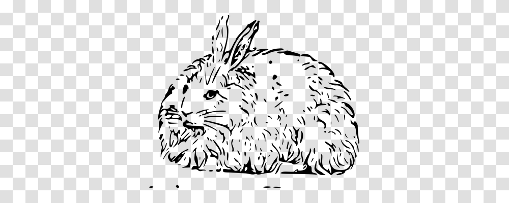 Hare Technology, Gray, World Of Warcraft Transparent Png