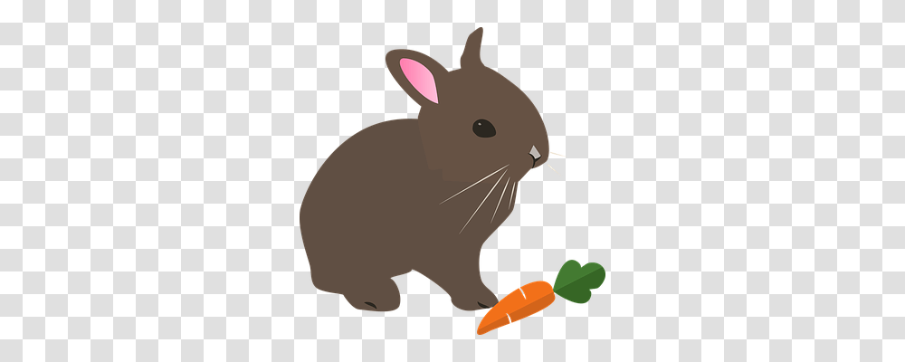Hare Nature, Mammal, Animal, Rodent Transparent Png