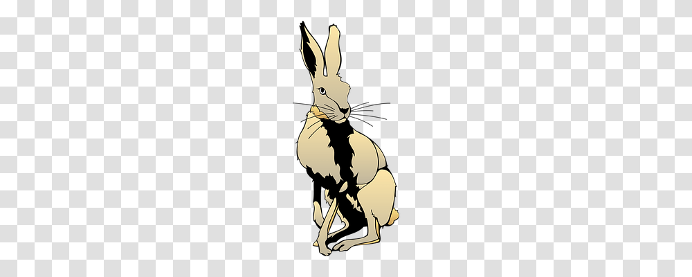 Hare Animals, Mammal, Poster, Advertisement Transparent Png