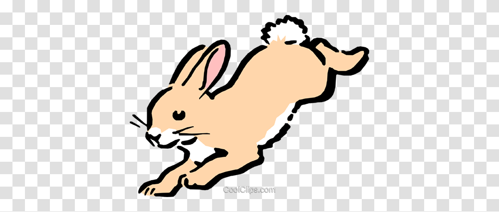 Hare Clip Art, Rodent, Mammal, Animal, Rabbit Transparent Png