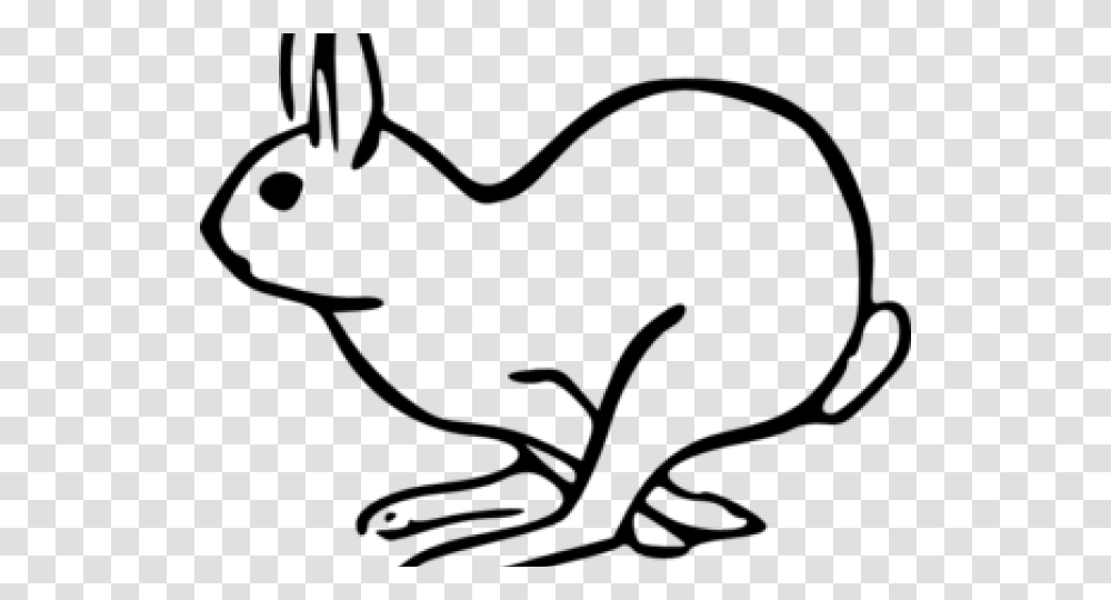 Hare Clipart, Gray, World Of Warcraft Transparent Png