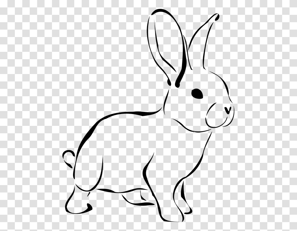 Hare Clipart Pet Animal, Gray, World Of Warcraft Transparent Png