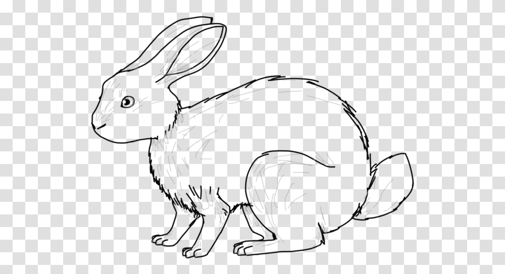 Hare Drawing Huge Freebie Download For Powerpoint Domestic Rabbit, Antler, Mammal, Animal, Deer Transparent Png