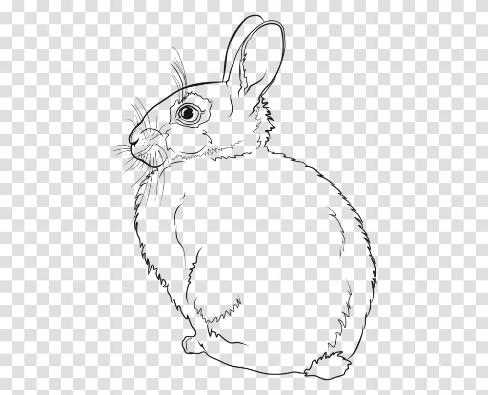 Hare Easter Bunny Rabbit Line Art Drawing Cc0 Line Art Bunny Line Drawing, Stencil, Animal, Mammal, Wildlife Transparent Png