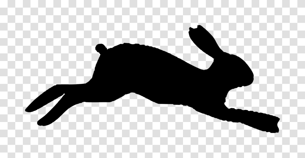 Hare Rabbit Silhouette, Gray, World Of Warcraft Transparent Png