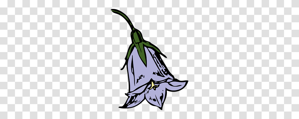 Harebell Nature, Animal, Insect, Invertebrate Transparent Png