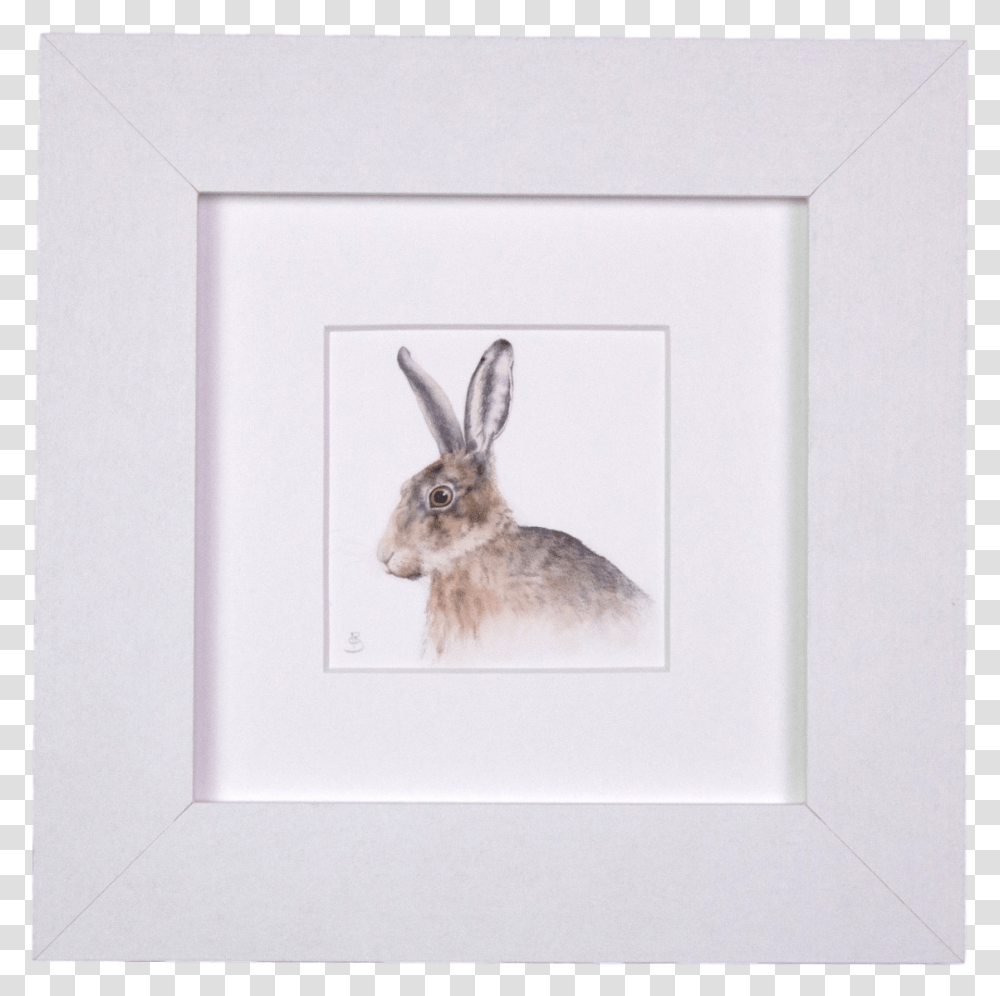 Hares Drawing White Tailed Jackrabbit Swamp Rabbit, Rodent, Mammal, Animal, Antelope Transparent Png