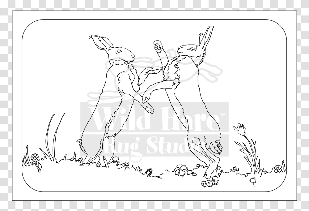 Hares Drawing Wild Hare Line Art, Sketch, Doodle, Outdoors Transparent Png