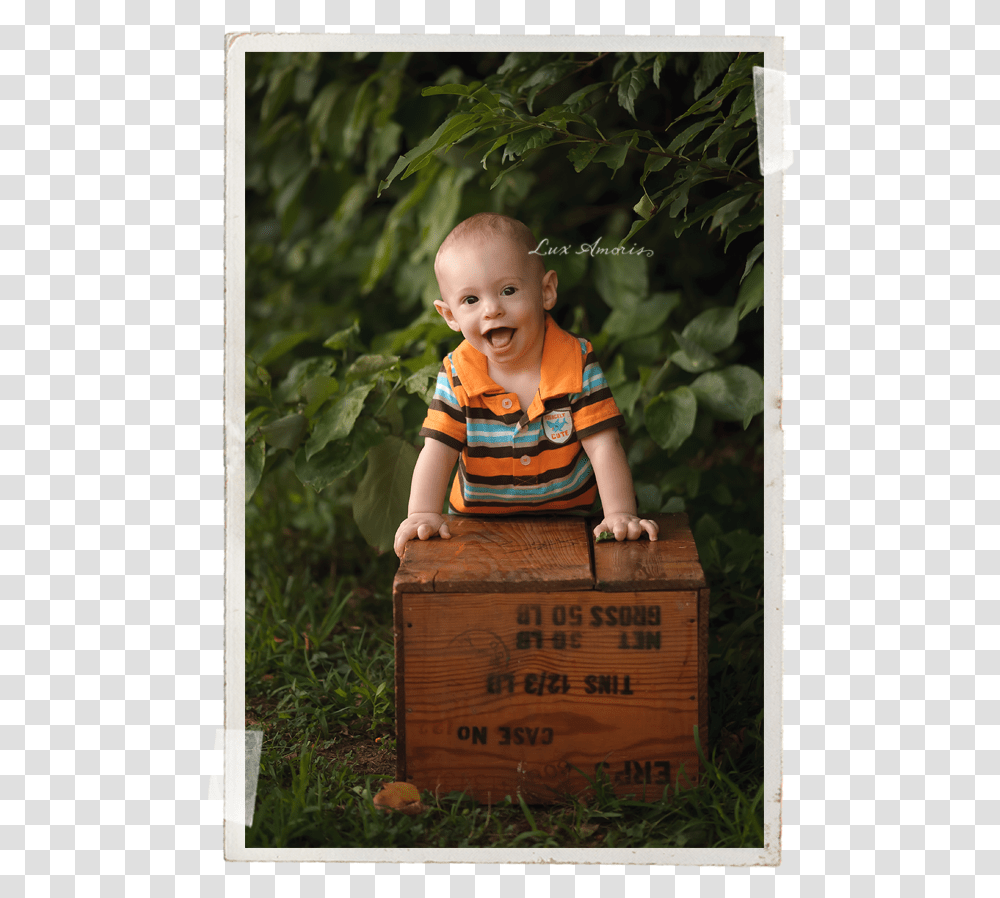 Harford County Baby Photographer Jen Snyder Of Lux Toddler, Person, Box, Wood Transparent Png