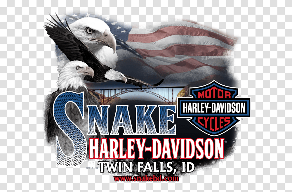 Harley Davidson, Eagle, Bird, Animal, Advertisement Transparent Png