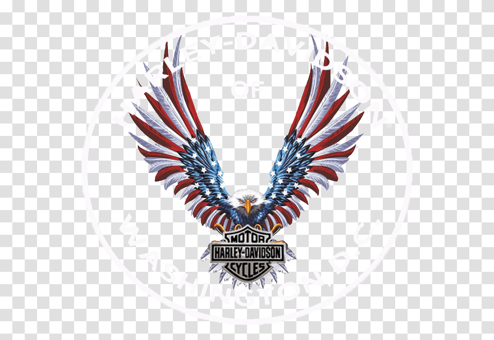 Harley Davidson Eagle Logos Posted Harley Davidson Of Washington Dc, Symbol, Trademark, Bird, Animal Transparent Png