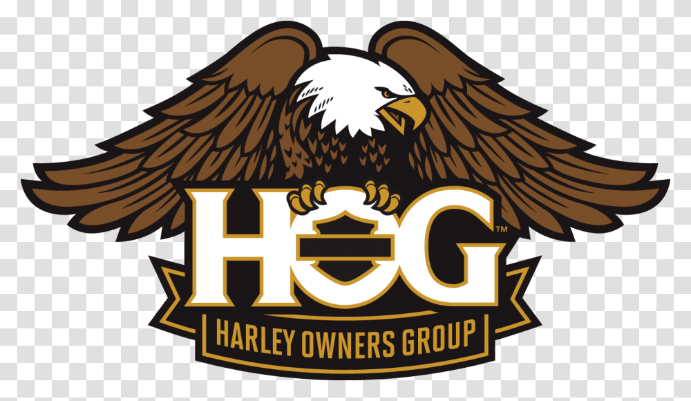 Harley Davidson Owners Group Logo Harley Owners Group Logo, Eagle, Bird, Animal Transparent Png
