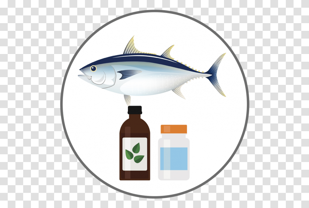 Harmful Algal Blooms Bluefin Tuna Clipart, Sea Life, Fish, Animal, Bonito Transparent Png