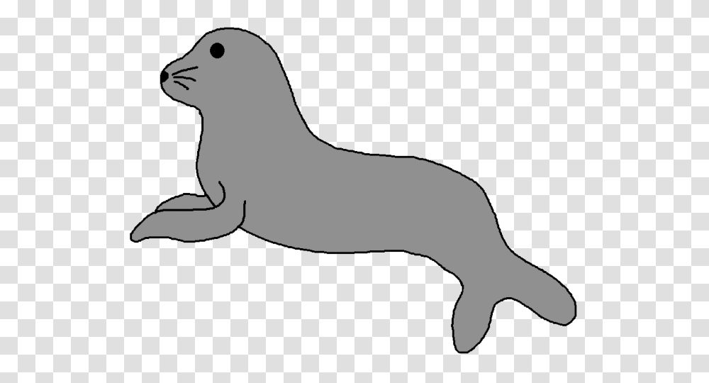 Harp Seal Clipart Animals That Swim, Mammal, Sea Life, Bird, Sea Lion Transparent Png