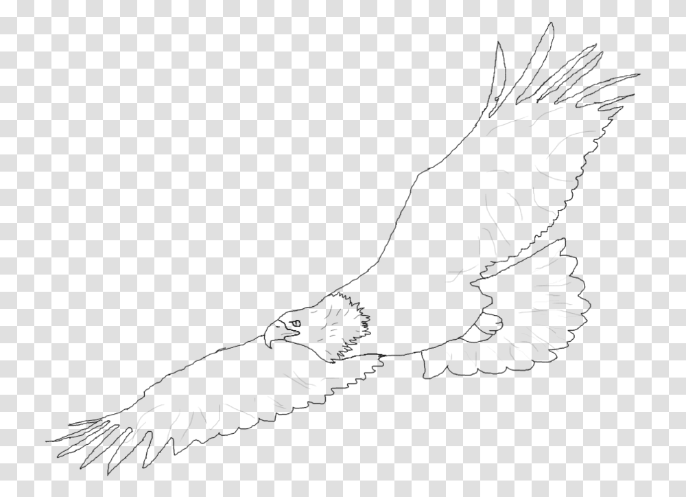 Harpy Eagle Clipart Easy Drawing Sketch, Silhouette, Sport, Working Out, Fitness Transparent Png