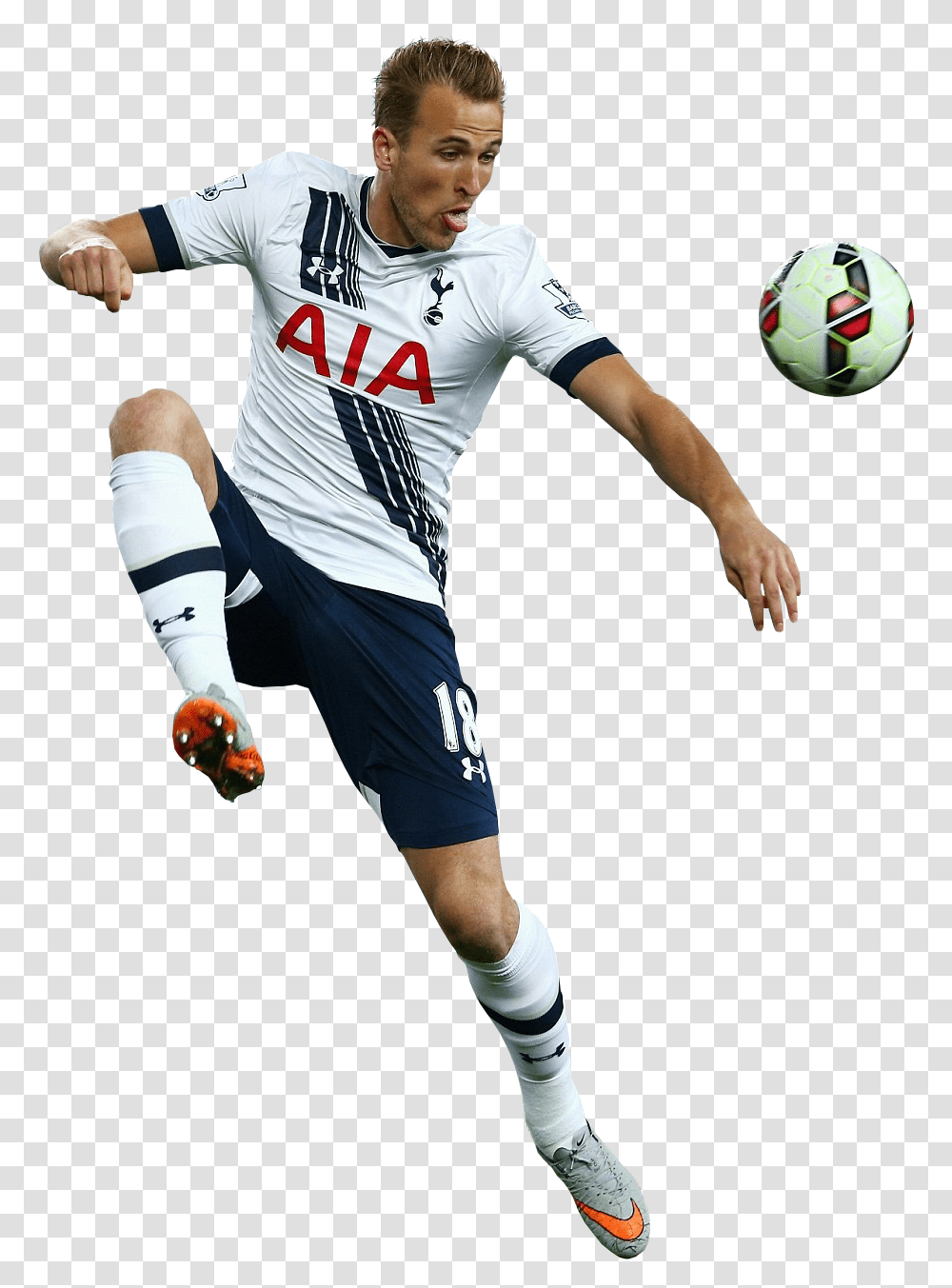 Harry Kane Render Tottenham Harry Kane, Soccer Ball, Football, Team Sport, Person Transparent Png