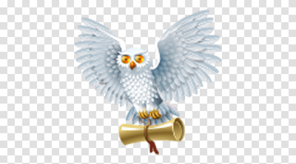 Harry Potter And The Half Blood Prince Harry Potter Harry Potter The Philosopher's Stone Icon, Eagle, Bird, Animal Transparent Png