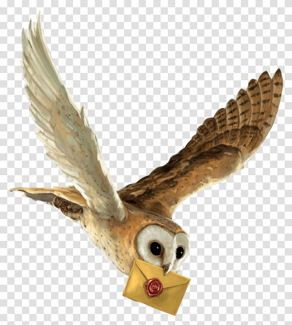 Harry Potter And The Philosopher S Stone Owl Hedwig Harry Potter Owl Flying, Bird, Animal, Kite Bird Transparent Png