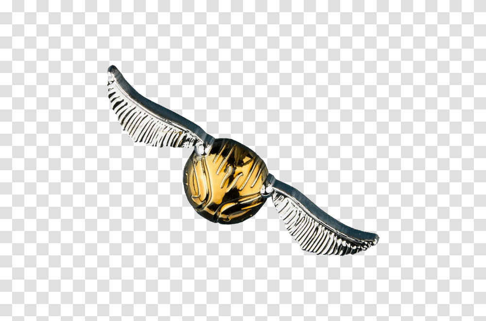 Harry Potter, Bird, People, Person Transparent Png