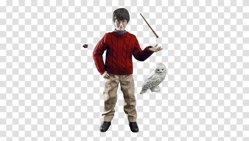 Harry Potter Casual Clothes, Person, Human, Bird, Animal Transparent Png