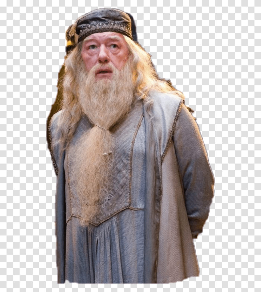 Harry Potter Connection To Fantastic Beasts, Face, Person, Human, Beard Transparent Png