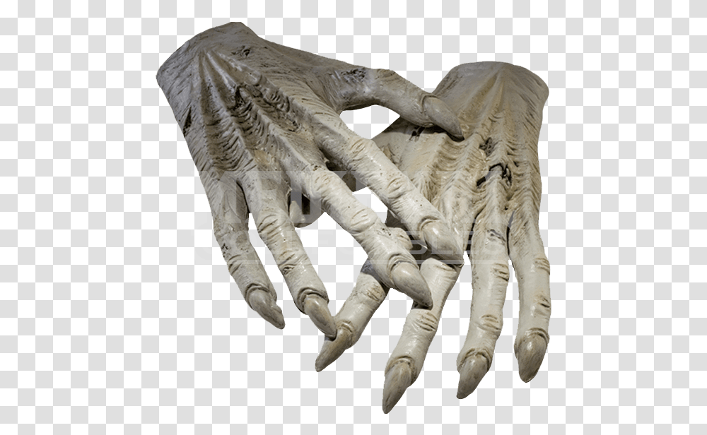 Harry Potter Dementor Adult Hands Download White Walker Hands, Elephant, Wildlife, Mammal, Animal Transparent Png