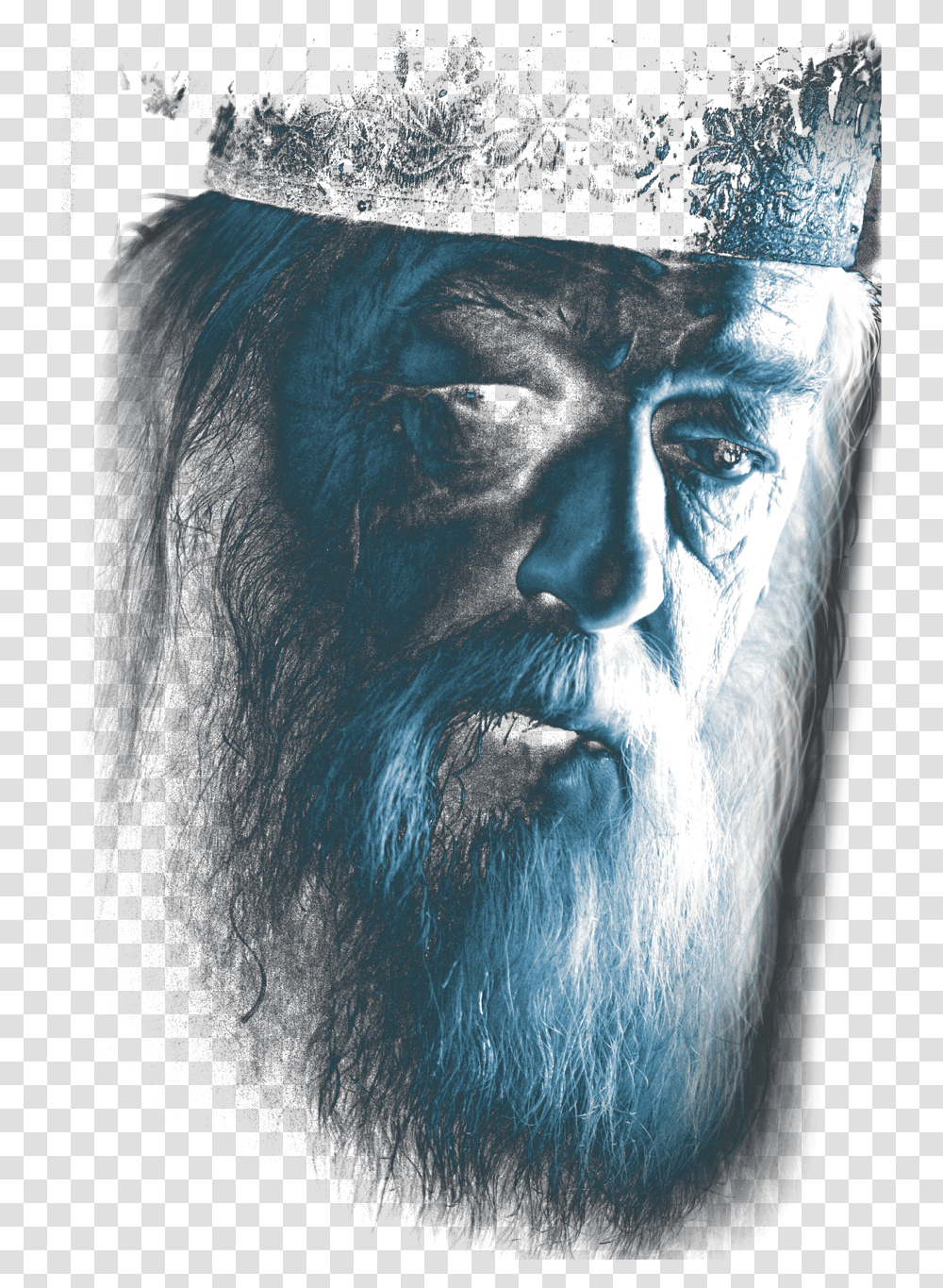 Harry Potter Dumbledore Face Albus Dumbledore, Beard, Portrait, Photography, Painting Transparent Png