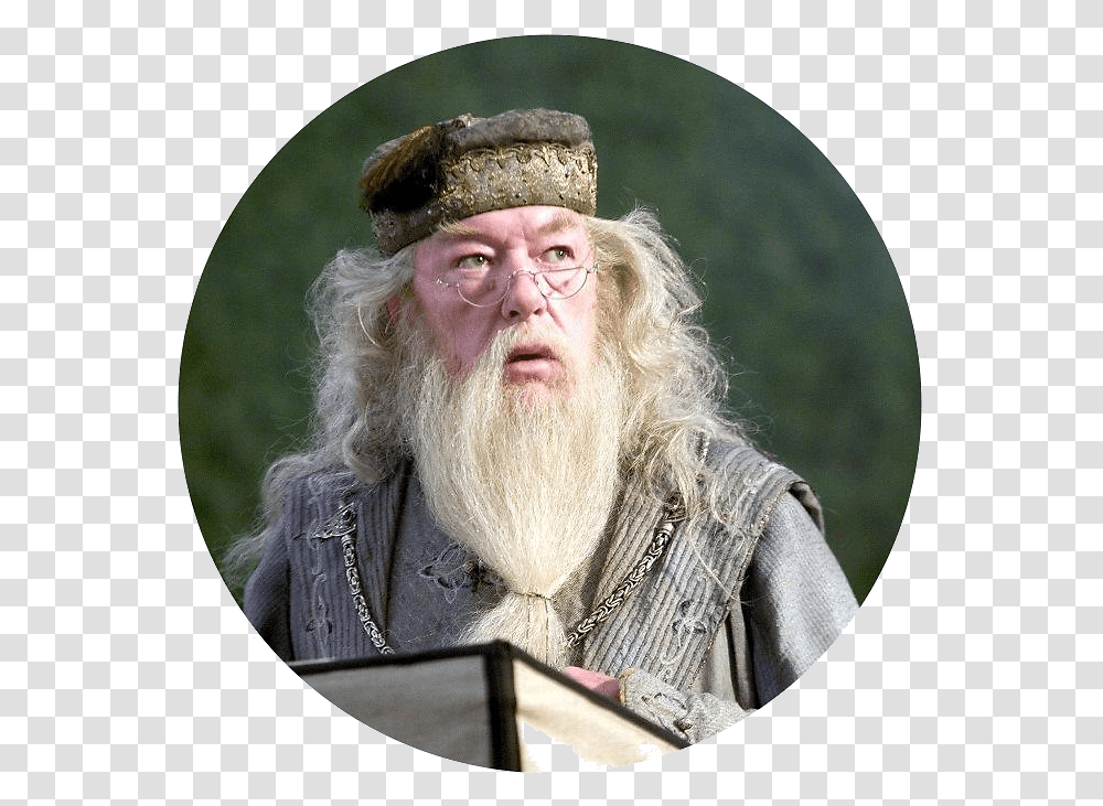 Harry Potter Dumbledore, Face, Person, Human, Beard Transparent Png