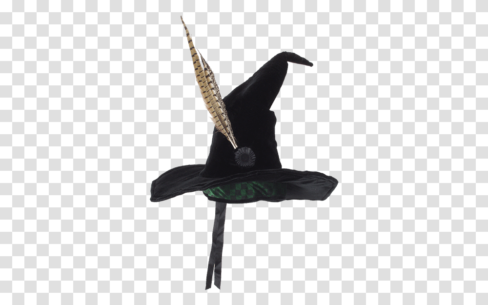 Harry Potter Witches Hat, Person, Leisure Activities, Dance Pose, Performer Transparent Png