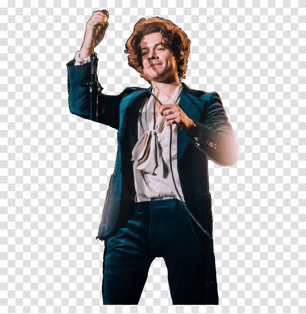 Harry Styles 2019, Person, Sleeve, Performer Transparent Png