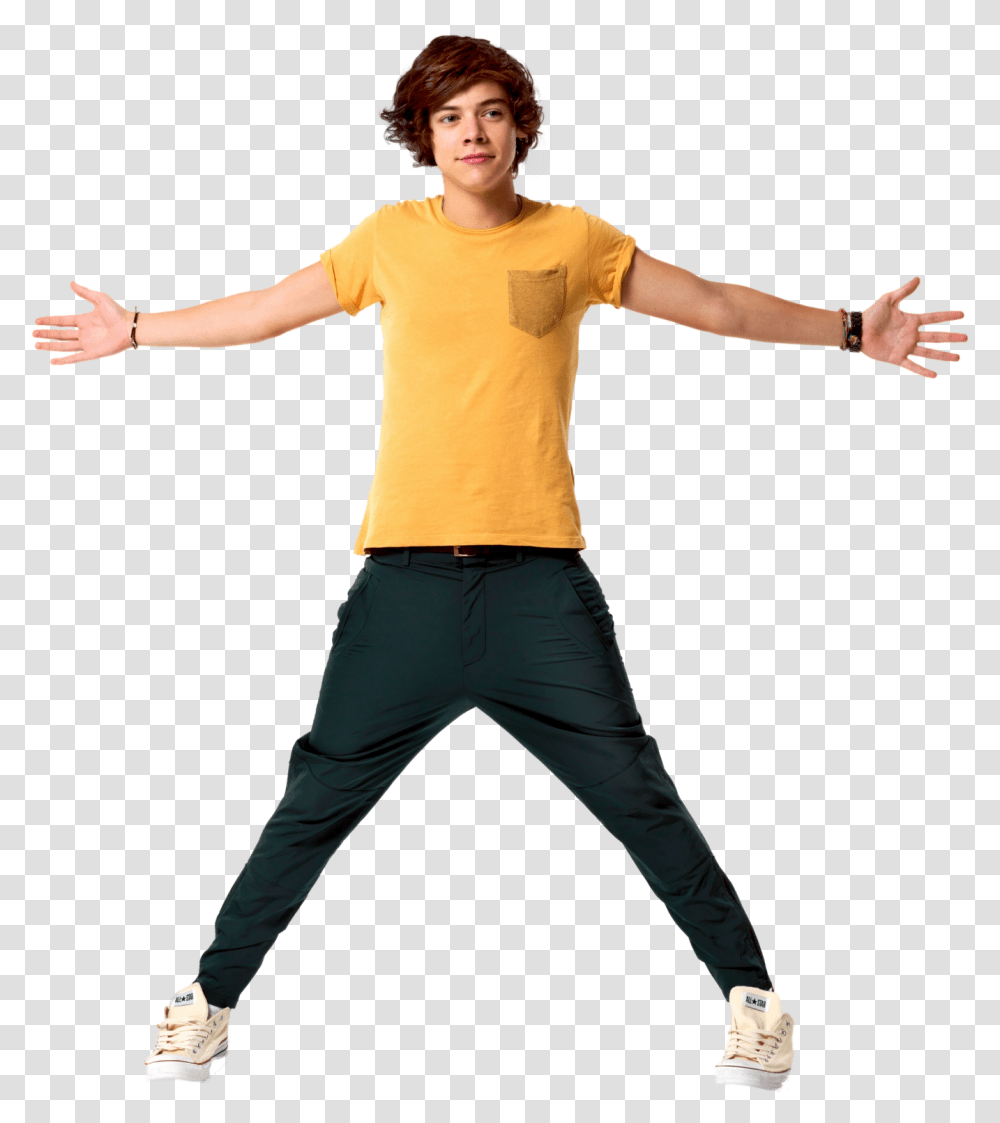 Harry Styles Background Download Harry Styles Background, Sleeve, Person, Long Sleeve Transparent Png